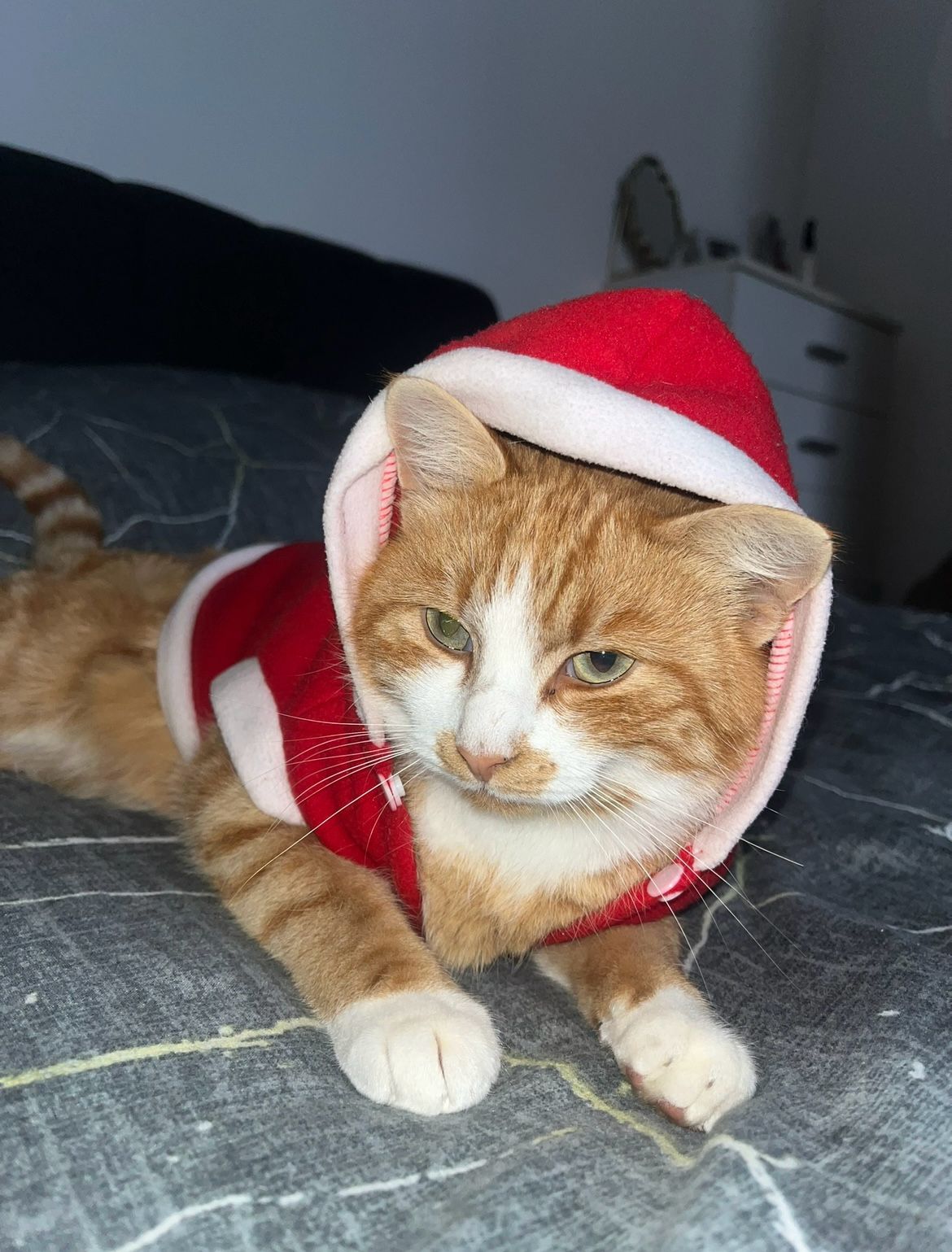 Imagine suplimentară